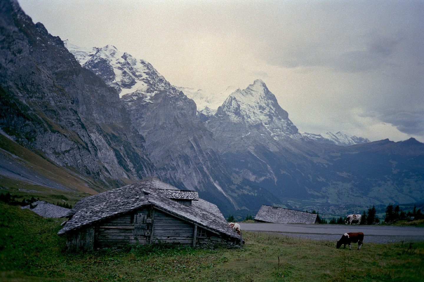 b0351506_18213815.jpg