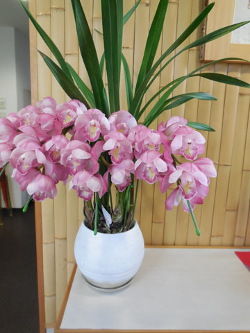 お花_d0358306_16270366.jpg