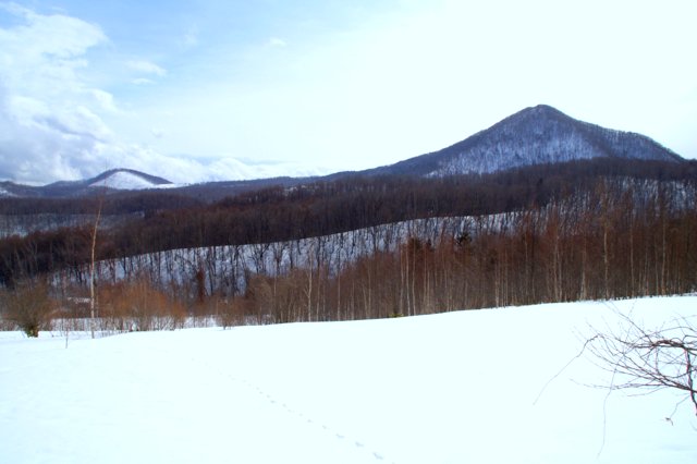 a0345007_11121643.jpg