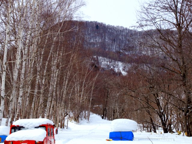 a0345007_11124195.jpg