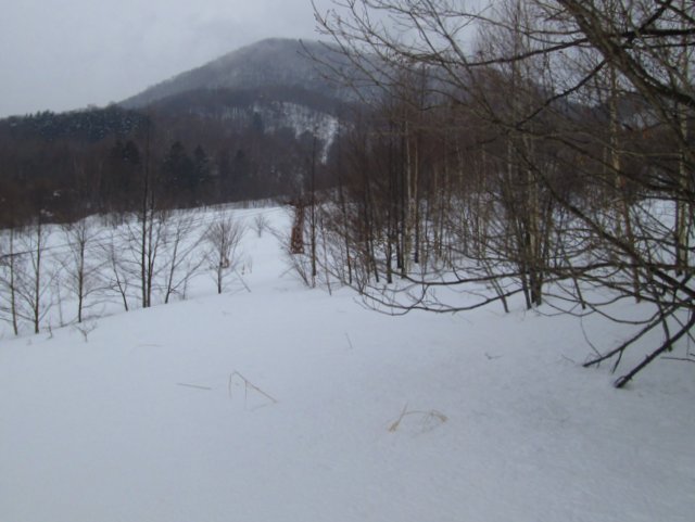 a0345007_116467.jpg