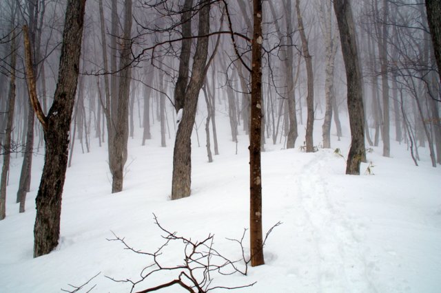 a0345007_1172849.jpg