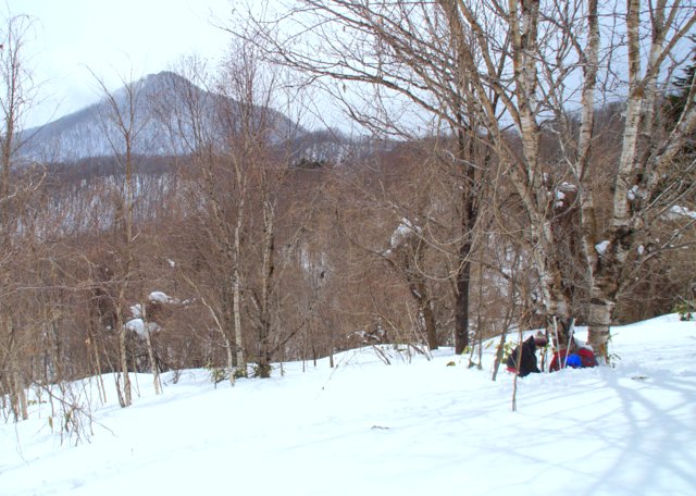 a0345007_1195199.jpg