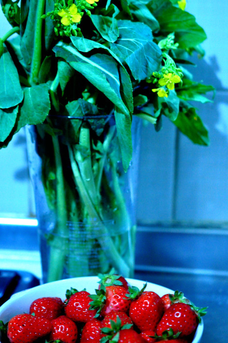 f0188408_15364370.jpg