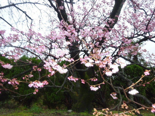 f0231709_22302356.jpg