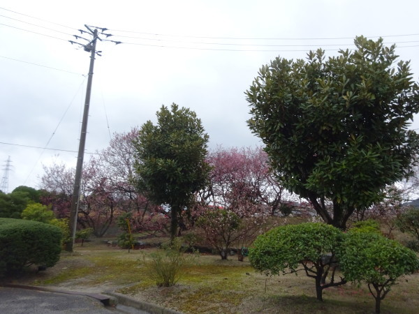 f0231709_22433967.jpg