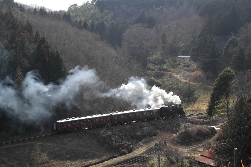 霞む日差し　- 真岡・2018年早春 -_b0190710_23491670.jpg