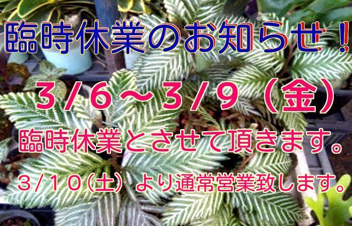e0254814_20210817.jpeg