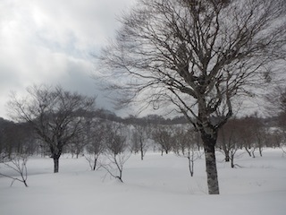 c0359615_10255772.jpg