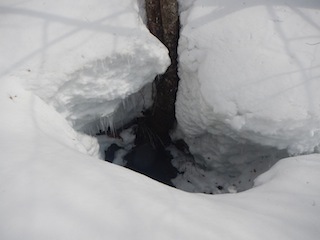 c0359615_10264697.jpg