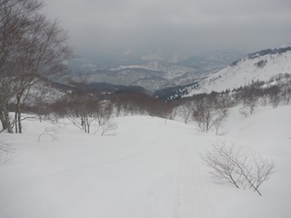 c0359615_10285357.jpg