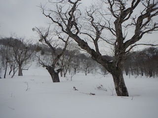 c0359615_10301504.jpg