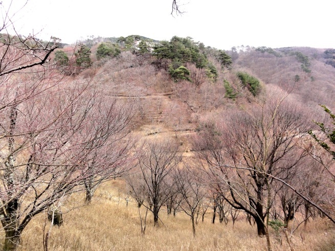 d0024426_15240992.jpg