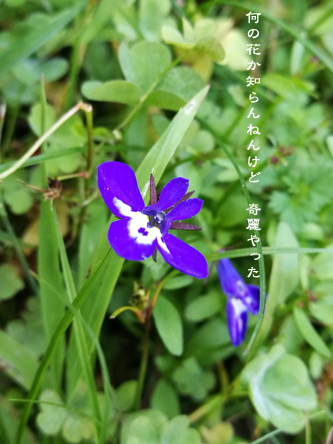 d0042827_15440103.jpg