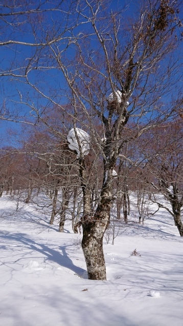 f0118332_21185371.jpg