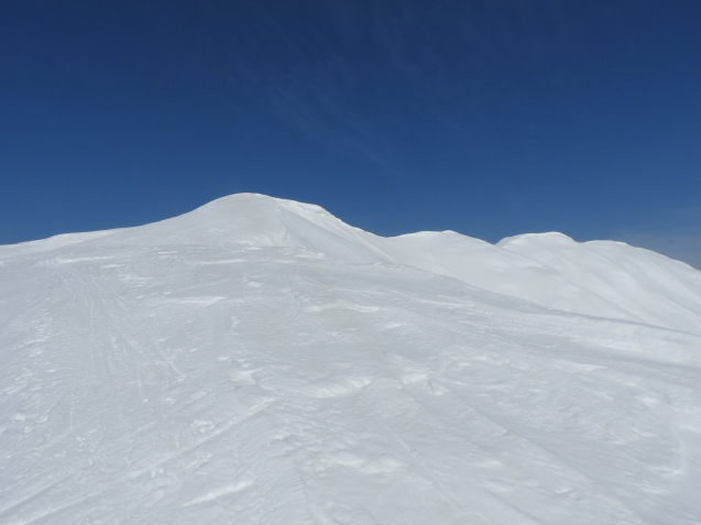 f0118332_21231029.jpg