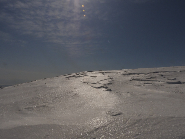 f0118332_21263217.jpg