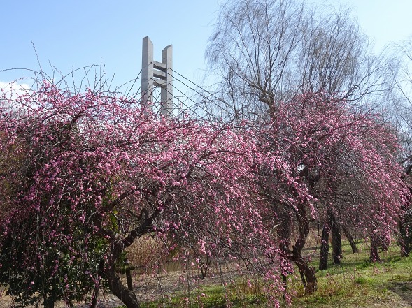 b0299042_14270382.jpg