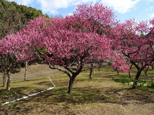 b0299042_14271618.jpg