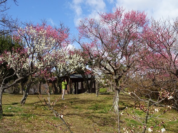 b0299042_14272035.jpg