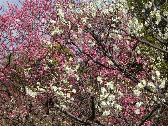 b0299042_14272580.jpg