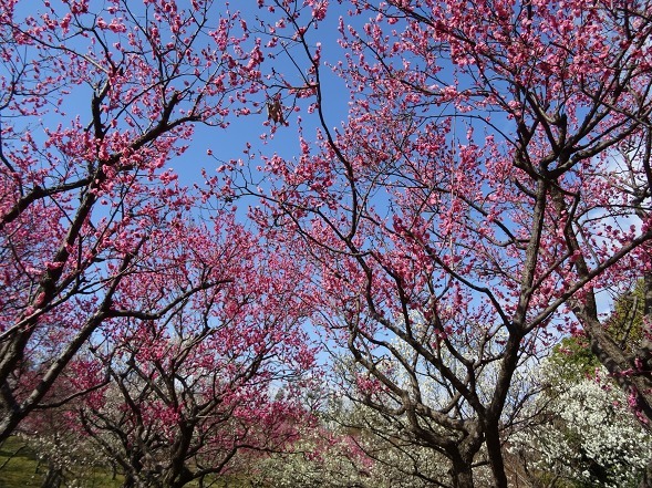 b0299042_14275650.jpg