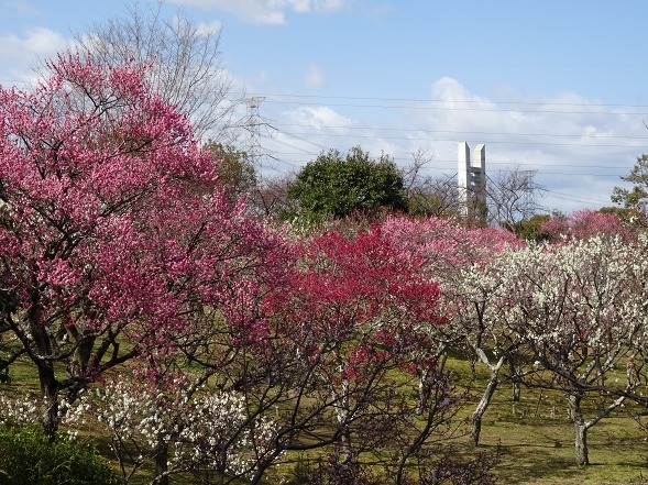 b0299042_14283510.jpg