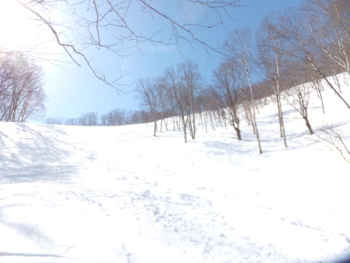 e0041047_04560481.jpg