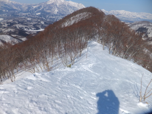 e0041047_04594854.jpg
