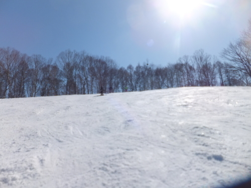 e0041047_05004460.jpg