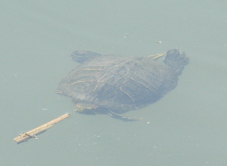 e0172950_21115851.jpg