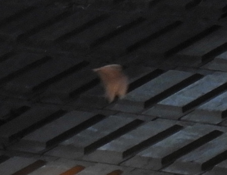 e0172950_2113515.jpg