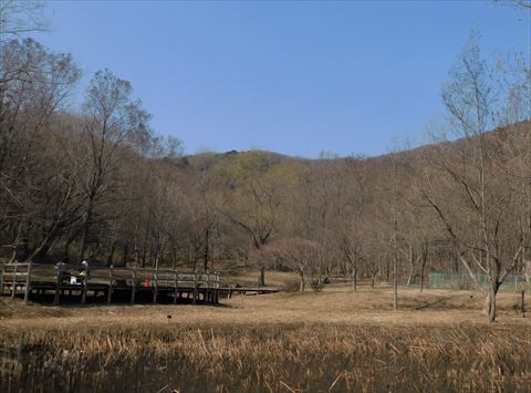 b0220251_05454389.jpg