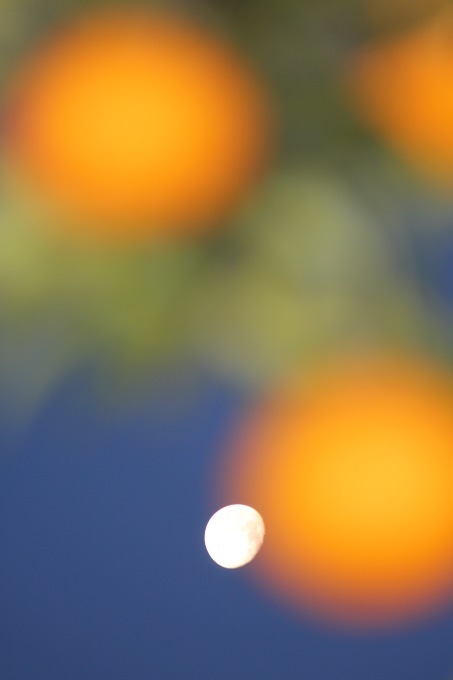 a0248459_13223578.jpg