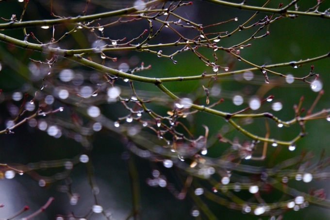 a0248459_13240145.jpg