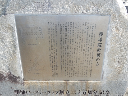 ’18,3,5(月)八幡岬からの眺めは素晴らしい!_f0060461_11160948.jpg