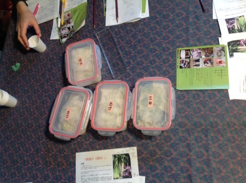 b0153663_13060926.jpeg