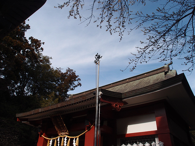 b0006870_11319.jpg