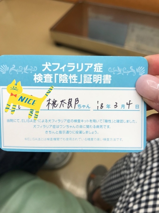 c0364176_20091561.jpeg