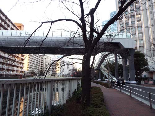 f0211178_11391842.jpg