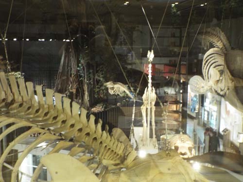 f0211178_13104716.jpg