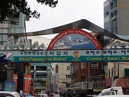 f0392779_23365501.jpg
