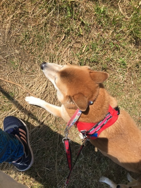 b0377882_15211488.jpeg