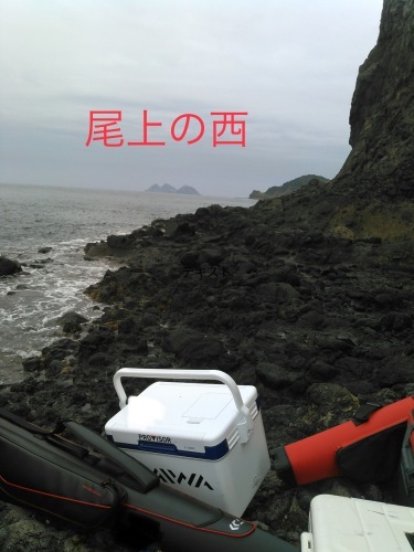 d0174683_23082623.jpeg