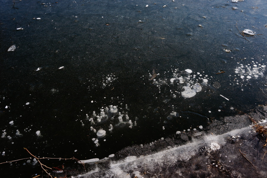 c0180686_05581633.jpg