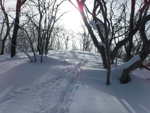 f0297492_16253205.jpg