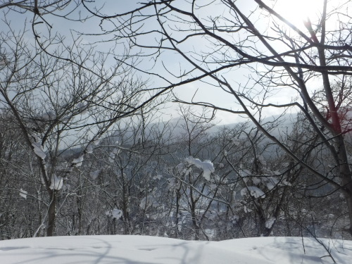 f0297492_16261615.jpg