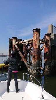 e0147297_14402401.jpg