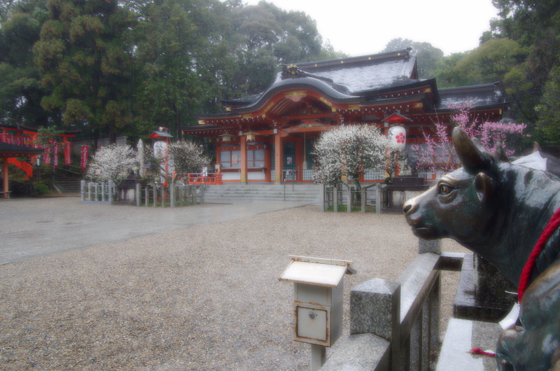 c0382798_17504946.jpg