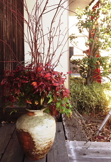 c0039501_23064066.jpeg